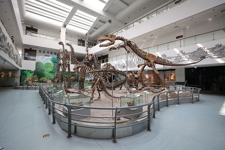 中國地質大學(武漢)-地大熱能 中國地質大學(武漢)-地大熱能