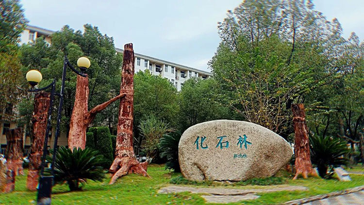 中國地質大學(武漢)-地大熱能 中國地質大學(武漢)-地大熱能