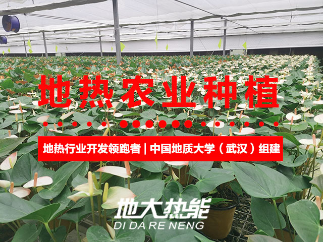 濟(jì)南:“地?zé)崮?農(nóng)業(yè)”產(chǎn)業(yè)融合,讓地?zé)崮苷嬲盁帷逼饋?地大熱能 濟(jì)南:“地?zé)崮?農(nóng)業(yè)”產(chǎn)業(yè)融合,讓地?zé)崮苷嬲盁帷逼饋?地大熱能